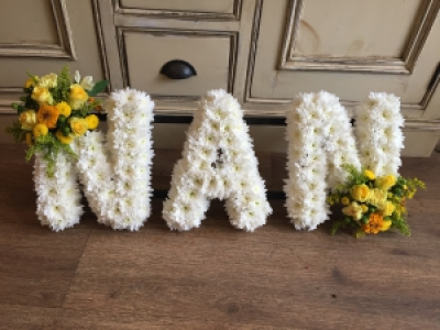 NAN Tribute - 